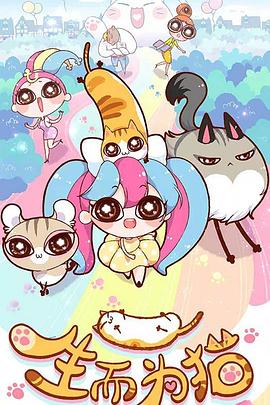 云南seo是什么案例